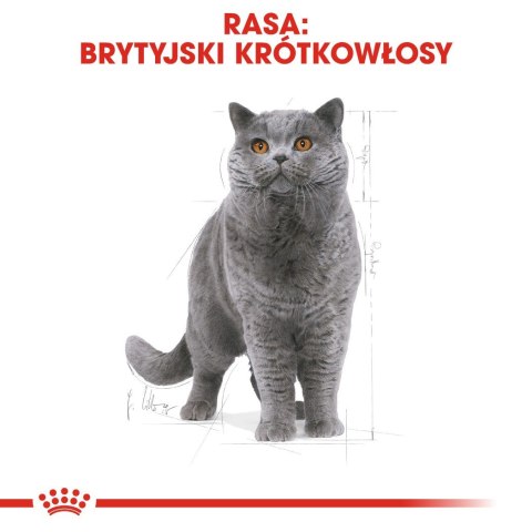 ROYAL CANIN FBN British Shorthair Adult - mokra karma dla dorosłego kota - 12x85g ROYAL CANIN FBN British Shorthair Adult - mokra karma dla dorosłego kota - 12x85g
