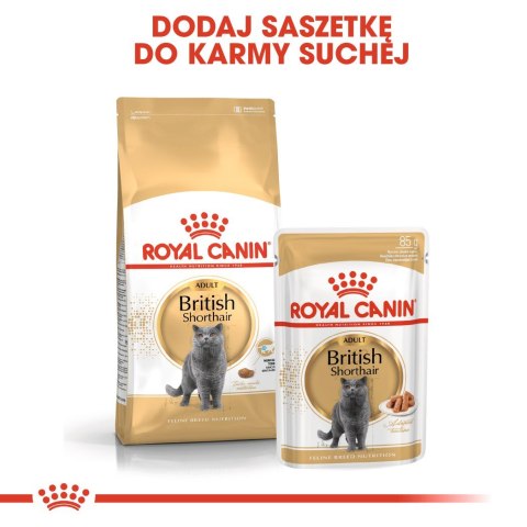 ROYAL CANIN FBN British Shorthair Adult - mokra karma dla dorosłego kota - 12x85g ROYAL CANIN FBN British Shorthair Adult - mokra karma dla dorosłego kota - 12x85g