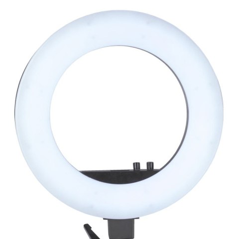 Lampa pierścieniowa Ring light 18' 48W led czarna + statyw Lampa pierścieniowa Ring light 18' 48W led czarna + statyw