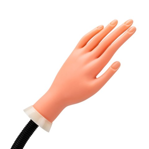 Ręka dłoń do ćwiczeń nauki manicure paznokcie tips 35 Ręka dłoń do ćwiczeń nauki manicure paznokcie tips 35