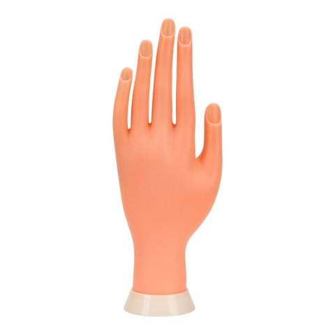Ręka dłoń do ćwiczeń nauki manicure paznokcie tips 35 Ręka dłoń do ćwiczeń nauki manicure paznokcie tips 35