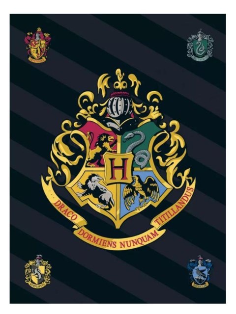 Koc polarowy 100x140 Harry Potter Koc polarowy 100x140 Harry Potter