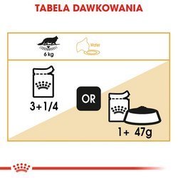 ROYAL CANIN FBN Maine Coon - mokra karma dla dorosłego kota - 12x85g ROYAL CANIN FBN Maine Coon - mokra karma dla dorosłego kota - 12x85g