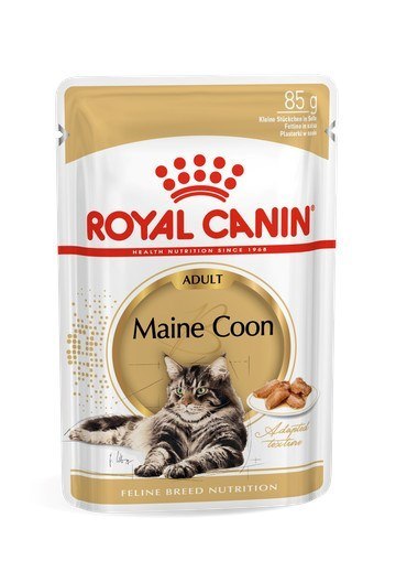 ROYAL CANIN FBN Maine Coon - mokra karma dla dorosłego kota - 12x85g ROYAL CANIN FBN Maine Coon - mokra karma dla dorosłego kota - 12x85g
