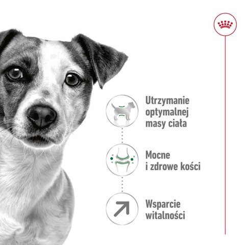 ROYAL CANIN Mini Adult +8 2kg - sucha karma dla psa ROYAL CANIN Mini Adult +8 2kg - sucha karma dla psa