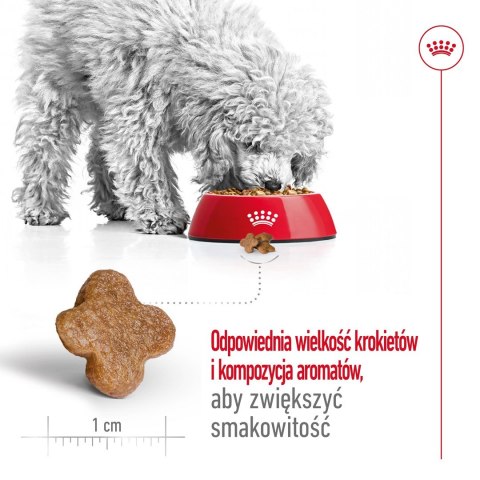 ROYAL CANIN Mini Adult +8 2kg - sucha karma dla psa ROYAL CANIN Mini Adult +8 2kg - sucha karma dla psa