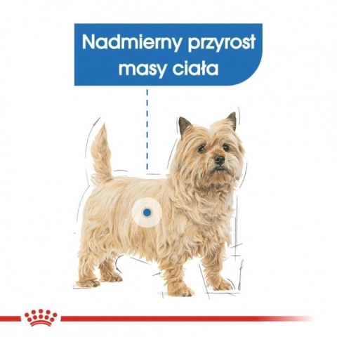 Royal Canin CCN MINI LIGHT WEIGHT CARE - sucha karma dla psa dorosłego - 3kg Royal Canin CCN MINI LIGHT WEIGHT CARE - sucha karma dla psa dorosłego - 3kg