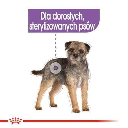 ROYAL CANIN CCN Sterilised Loaf - mokra karma dla psa dorosłego - 12x85 g ROYAL CANIN CCN Sterilised Loaf - mokra karma dla psa dorosłego - 12x85 g