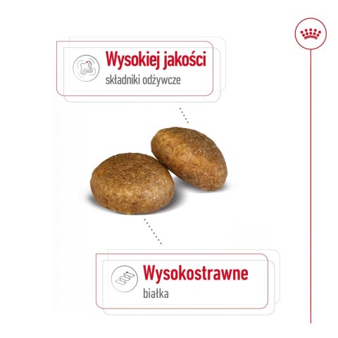 ROYAL CANIN SHN Maxi Adult - sucha karma dla psa dorosłego - 15 kg ROYAL CANIN SHN Maxi Adult - sucha karma dla psa dorosłego - 15 kg