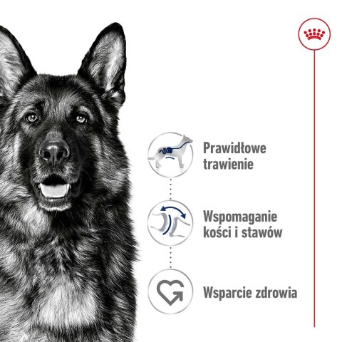 ROYAL CANIN SHN Maxi Adult - sucha karma dla psa dorosłego - 15 kg ROYAL CANIN SHN Maxi Adult - sucha karma dla psa dorosłego - 15 kg