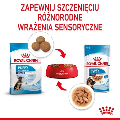 ROYAL CANIN SHN Maxi Puppy w sosie - mokra karma dla szczeniąt - 10x140 g ROYAL CANIN SHN Maxi Puppy w sosie - mokra karma dla szczeniąt - 10x140 g