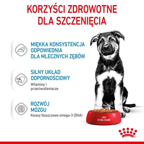 ROYAL CANIN SHN Maxi Puppy w sosie - mokra karma dla szczeniąt - 10x140 g ROYAL CANIN SHN Maxi Puppy w sosie - mokra karma dla szczeniąt - 10x140 g