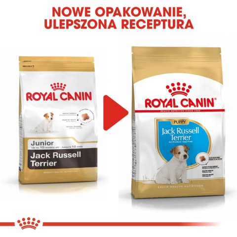 Karma Royal Canin SHN Breed Jack Russ Jun (3 kg ) Karma Royal Canin SHN Breed Jack Russ Jun (3 kg )