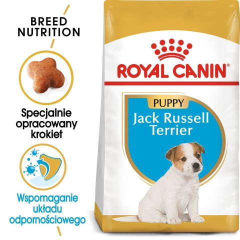 Karma Royal Canin SHN Breed Jack Russ Jun (3 kg ) Karma Royal Canin SHN Breed Jack Russ Jun (3 kg )