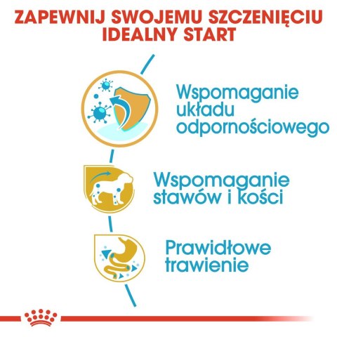 ROYAL CANIN BHN Dachshund Puppy - sucha karma dla szczeniąt - 1,5kg ROYAL CANIN BHN Dachshund Puppy - sucha karma dla szczeniąt - 1,5kg
