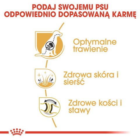 ROYAL CANIN BHN German Sh Ad - sucha karma dla psa dorosłego - 11 kg ROYAL CANIN BHN German Sh Ad - sucha karma dla psa dorosłego - 11 kg