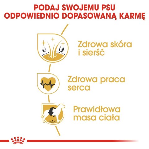 ROYAL CANIN BHN Golden Retriever - sucha karma dla psa dorosłego - 12 kg ROYAL CANIN BHN Golden Retriever - sucha karma dla psa dorosłego - 12 kg