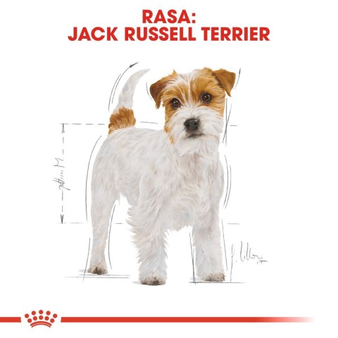 ROYAL CANIN BHN Jack Russell Terrier Adult - sucha karma dla psa dorosłego - 7,5kg ROYAL CANIN BHN Jack Russell Terrier Adult - sucha karma dla psa dorosłego - 7,5kg