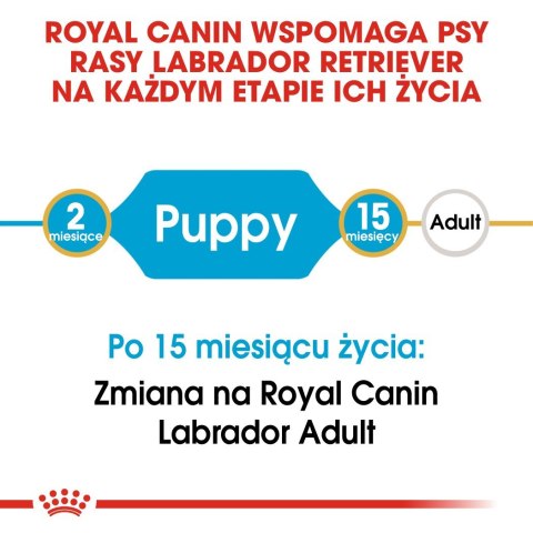 ROYAL CANIN BHN Labrador Retriever Puppy - sucha karma dla szczeniąt - 3kg ROYAL CANIN BHN Labrador Retriever Puppy - sucha karma dla szczeniąt - 3kg