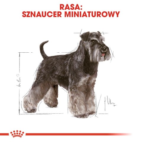 ROYAL CANIN BHN Miniature Schnauzer Adult - sucha karma dla psa dorosłego - 3kg ROYAL CANIN BHN Miniature Schnauzer Adult - sucha karma dla psa dorosłego - 3kg