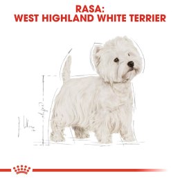 ROYAL CANIN BHN West Highland White Terrier Adult - sucha karma dla psa dorosłego - 3kg