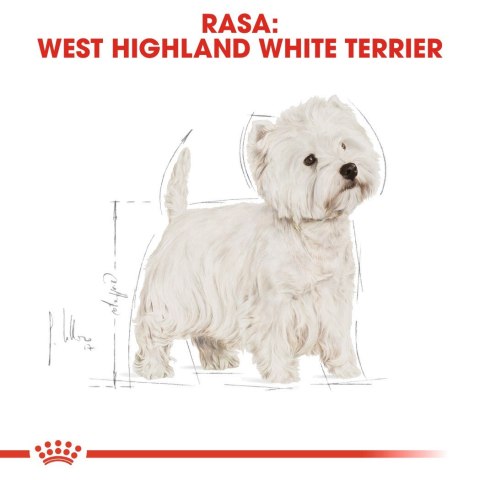 ROYAL CANIN BHN West Highland White Terrier Adult - sucha karma dla psa dorosłego - 3kg ROYAL CANIN BHN West Highland White Terrier Adult - sucha karma dla psa dorosłego - 3kg