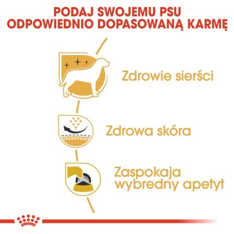 ROYAL CANIN BHN West Highland White Terrier Adult - sucha karma dla psa dorosłego - 3kg ROYAL CANIN BHN West Highland White Terrier Adult - sucha karma dla psa dorosłego - 3kg