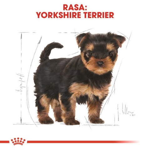 ROYAL CANIN BHN Yorkshire Puppy - sucha karma dla szczeniąt - 1,5 kg ROYAL CANIN BHN Yorkshire Puppy - sucha karma dla szczeniąt - 1,5 kg