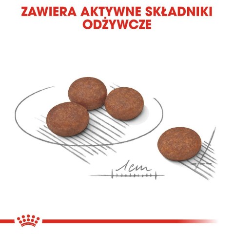 ROYAL CANIN CCN MINI DIGESTIVETIVE CARE - sucha karma dla psa dorosłego - 3kg ROYAL CANIN CCN MINI DIGESTIVETIVE CARE - sucha karma dla psa dorosłego - 3kg