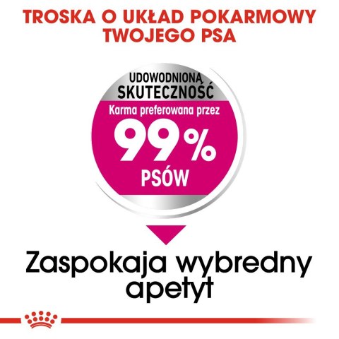 ROYAL CANIN CCN MINI EXIGENT - sucha karma dla psa - 3 kg ROYAL CANIN CCN MINI EXIGENT - sucha karma dla psa - 3 kg