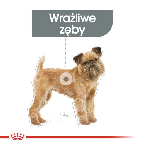 ROYAL CANIN CCN Mini Dental Care - sucha karma dla dorosłych psów - 3 kg ROYAL CANIN CCN Mini Dental Care - sucha karma dla dorosłych psów - 3 kg