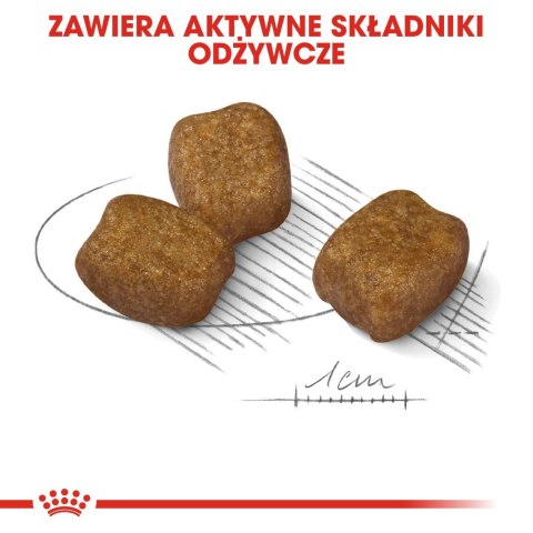 ROYAL CANIN CCN Mini Dental Care - sucha karma dla dorosłych psów - 3 kg ROYAL CANIN CCN Mini Dental Care - sucha karma dla dorosłych psów - 3 kg