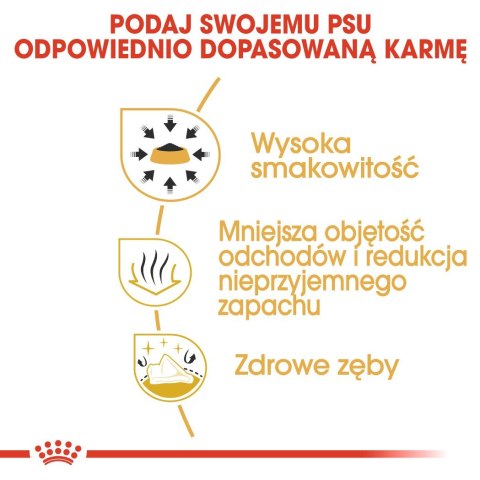 Royal Canin BHN Chihuahua Adult - sucha karma dla psa dorosłego - 1,5kg Royal Canin BHN Chihuahua Adult - sucha karma dla psa dorosłego - 1,5kg
