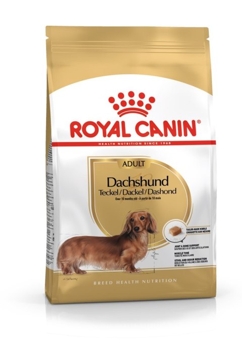 Royal Canin BHN Dachshund Adult - sucha karma dla psa dorosłego - 1,5kg Royal Canin BHN Dachshund Adult - sucha karma dla psa dorosłego - 1,5kg