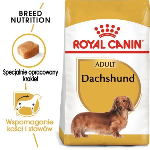 Royal Canin BHN Dachshund Adult - sucha karma dla psa dorosłego - 1,5kg Royal Canin BHN Dachshund Adult - sucha karma dla psa dorosłego - 1,5kg