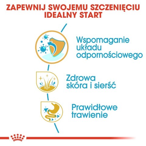 Royal Canin BHN Shih Tzu Puppy - sucha karma dla szczeniąt - 1,5kg Royal Canin BHN Shih Tzu Puppy - sucha karma dla szczeniąt - 1,5kg