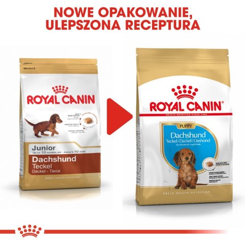 ROYAL CANIN BHN Dachshund Puppy - sucha karma dla szczeniąt - 1,5kg ROYAL CANIN BHN Dachshund Puppy - sucha karma dla szczeniąt - 1,5kg