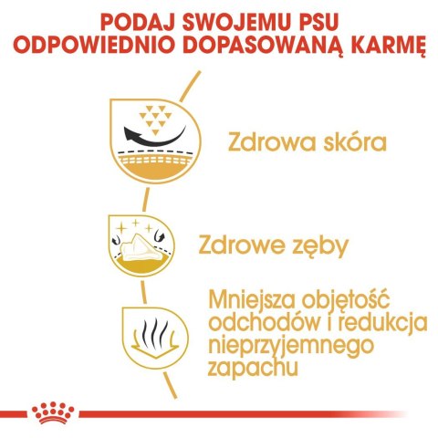 ROYAL CANIN BHN Shih Tzu Adult - sucha karma dla psa dorosłego - 7,5kg ROYAL CANIN BHN Shih Tzu Adult - sucha karma dla psa dorosłego - 7,5kg