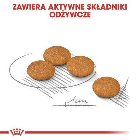 ROYAL CANIN Mini Dermacomfort - karma dla psów dorosłych ras małych - 3kg ROYAL CANIN Mini Dermacomfort - karma dla psów dorosłych ras małych - 3kg