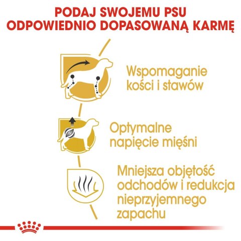 Royal Canin BHN Dachshund Adult - sucha karma dla psa dorosłego - 1,5kg Royal Canin BHN Dachshund Adult - sucha karma dla psa dorosłego - 1,5kg