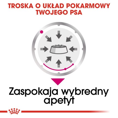 ROYAL CANIN CCN EXIGENT LOAF - mokra karma dla psa dorosłego - 12x85g ROYAL CANIN CCN EXIGENT LOAF - mokra karma dla psa dorosłego - 12x85g