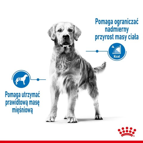 ROYAL CANIN CCN MEDIUM LIGHT WEIGHT CARE - sucha karma dla psa dorosłego - 3kg ROYAL CANIN CCN MEDIUM LIGHT WEIGHT CARE - sucha karma dla psa dorosłego - 3kg