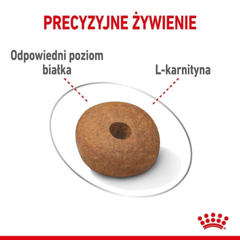 ROYAL CANIN CCN MEDIUM LIGHT WEIGHT CARE - sucha karma dla psa dorosłego - 3kg ROYAL CANIN CCN MEDIUM LIGHT WEIGHT CARE - sucha karma dla psa dorosłego - 3kg