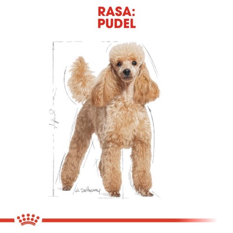 ROYAL CANIN Poodle 1,5kg ROYAL CANIN Poodle 1,5kg