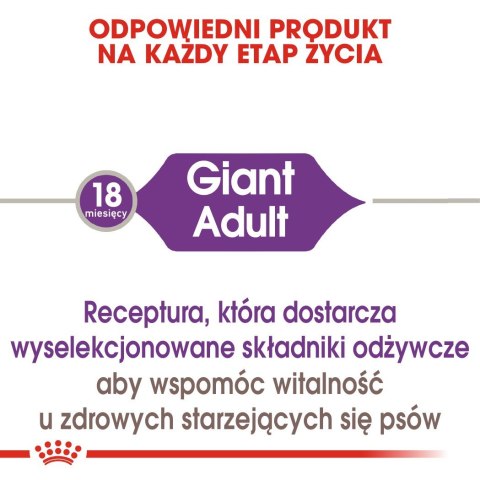 ROYAL CANIN SHN Giant Adult - sucha karma dla psa dorosłego - 15 kg ROYAL CANIN SHN Giant Adult - sucha karma dla psa dorosłego - 15 kg