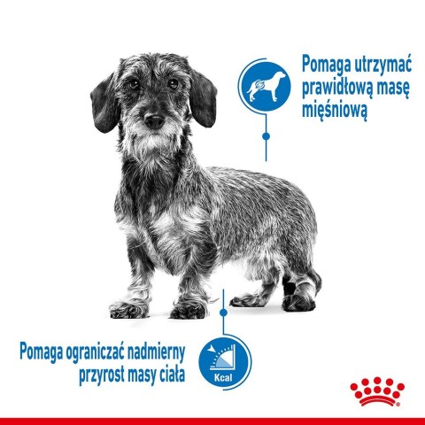 Royal Canin CCN MINI LIGHT WEIGHT CARE - sucha karma dla psa dorosłego - 3kg Royal Canin CCN MINI LIGHT WEIGHT CARE - sucha karma dla psa dorosłego - 3kg