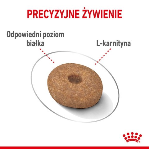 Royal Canin CCN MINI LIGHT WEIGHT CARE - sucha karma dla psa dorosłego - 3kg Royal Canin CCN MINI LIGHT WEIGHT CARE - sucha karma dla psa dorosłego - 3kg